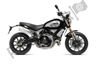 All original and replacement parts for your Ducati Scrambler 1100 Thailand 2019.